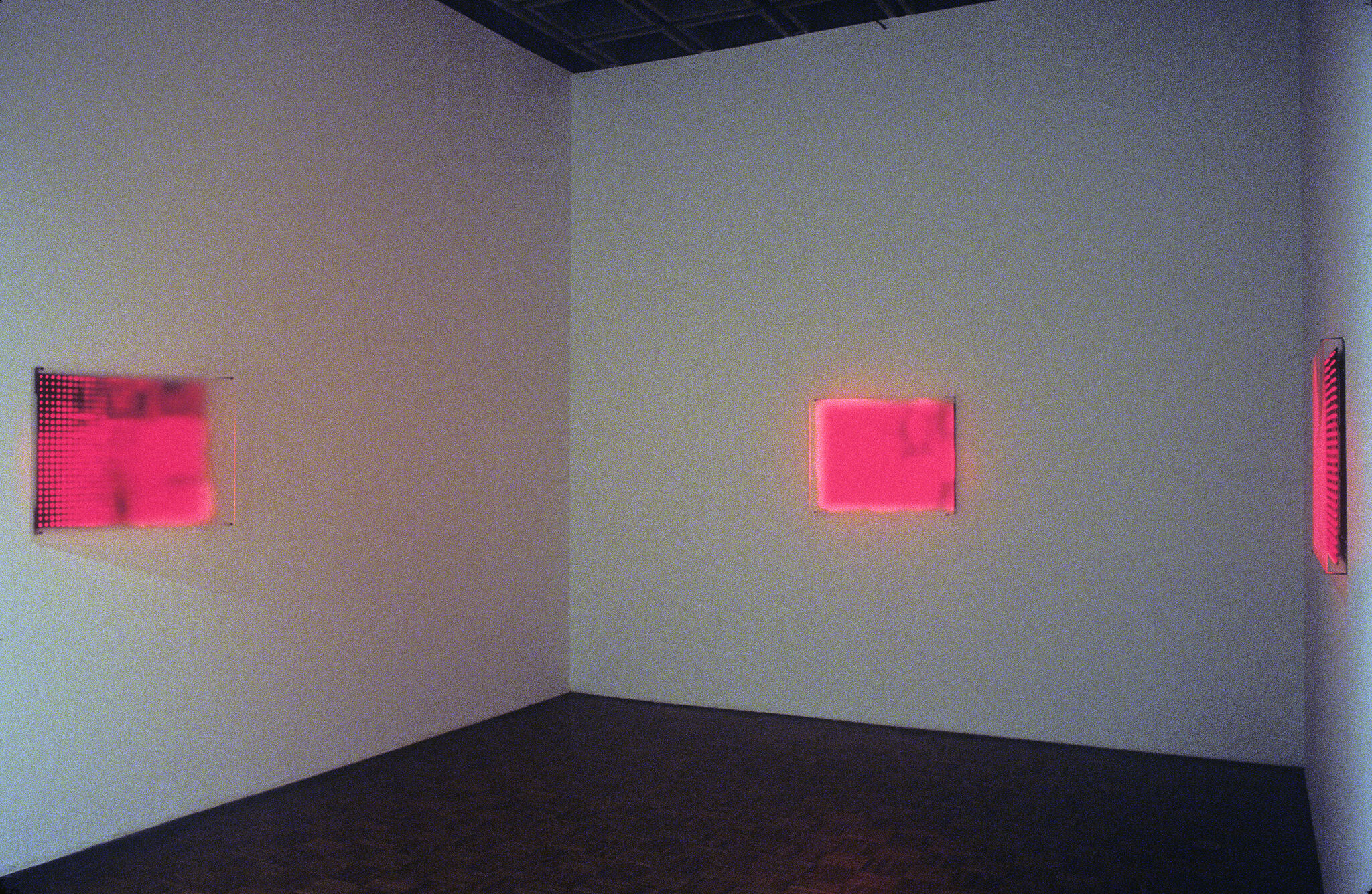 A gallery with neon pink works of art on display.