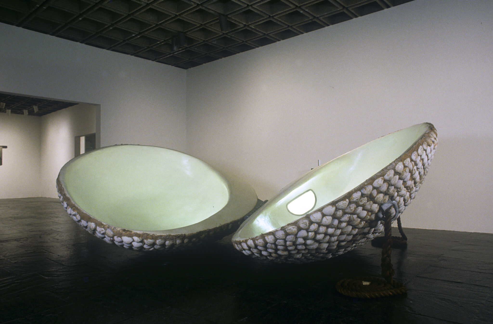 Artwork installed in a gallery.