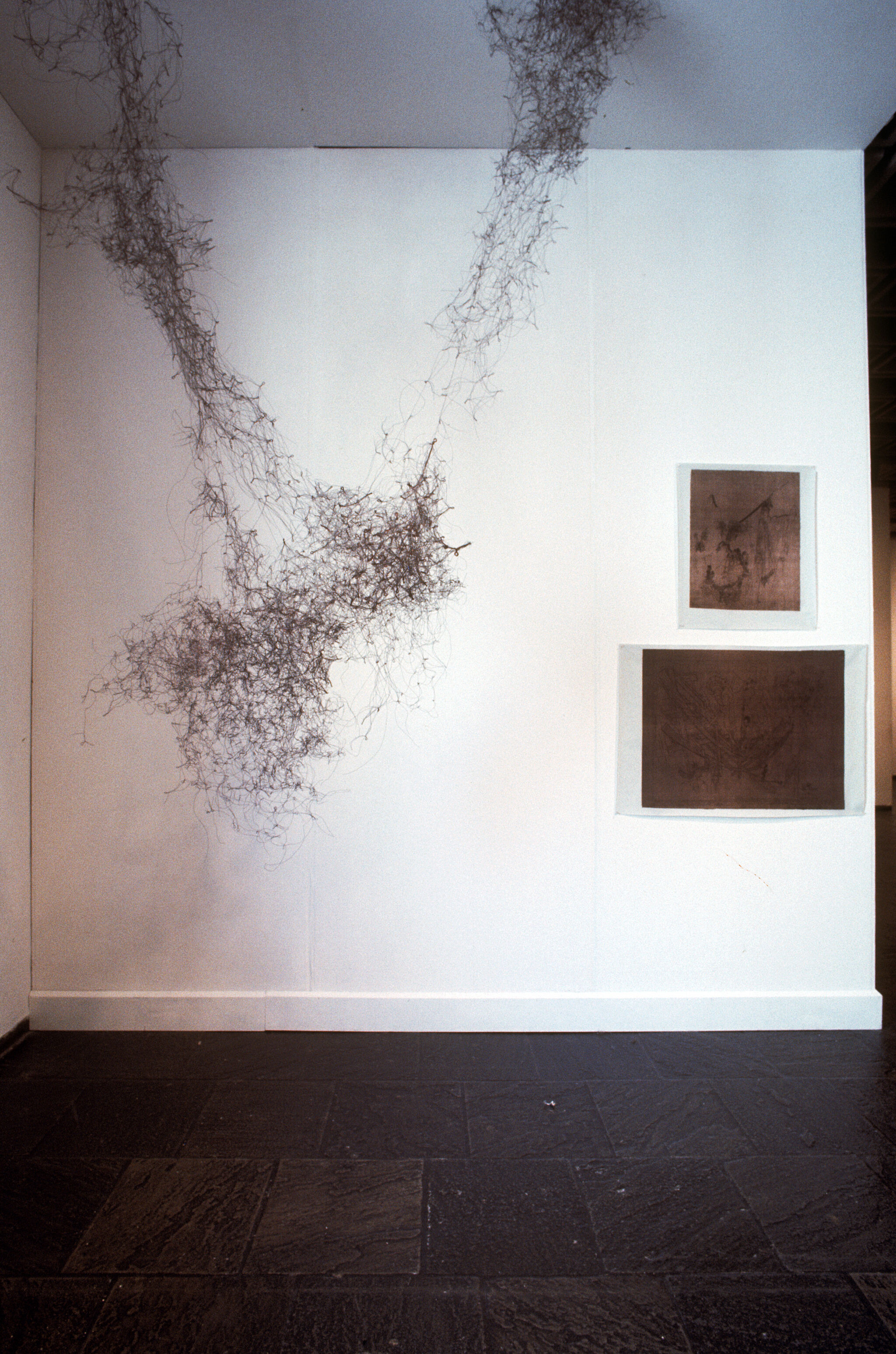 Works of art in a gallery.