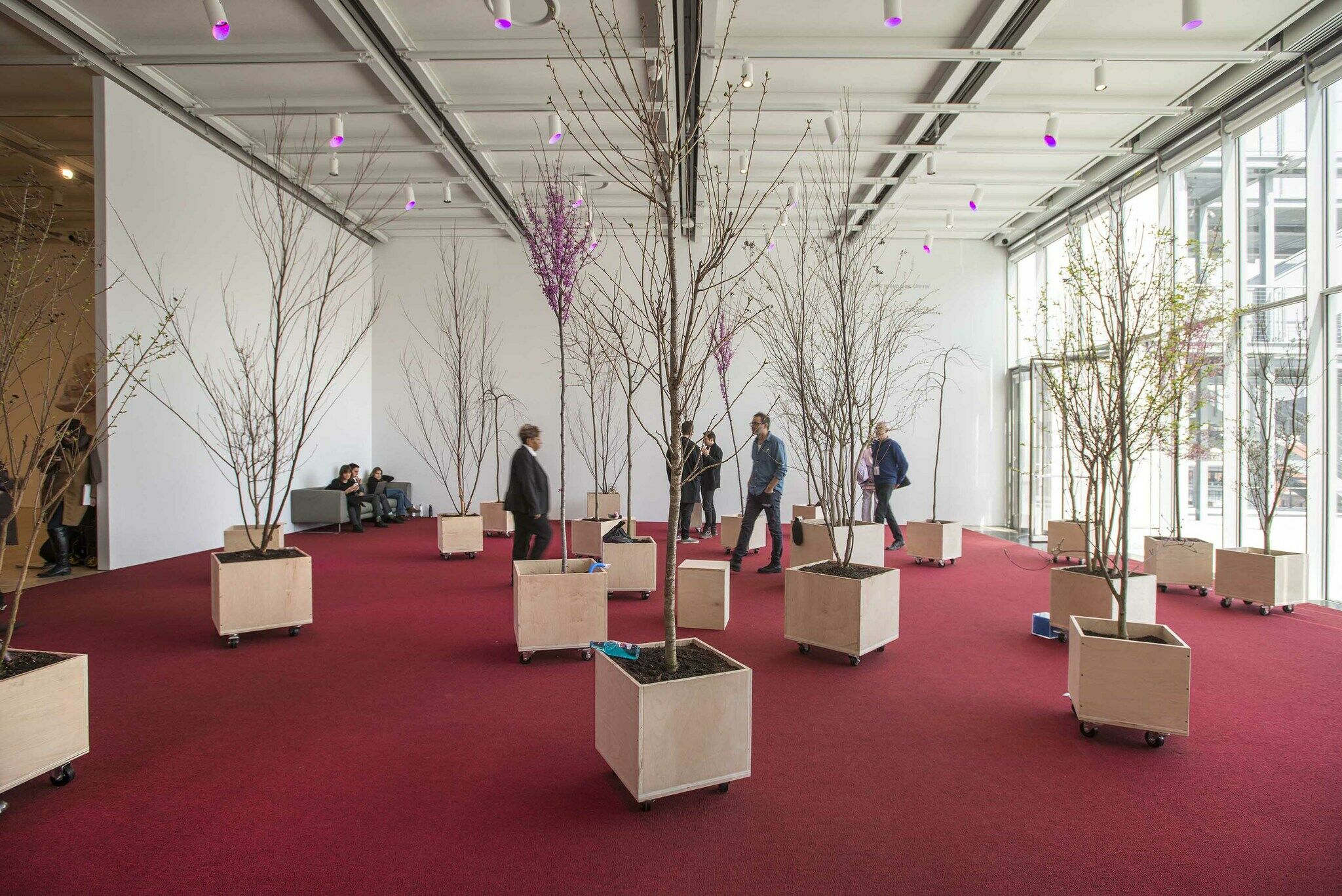 A gallery filled with trees.
