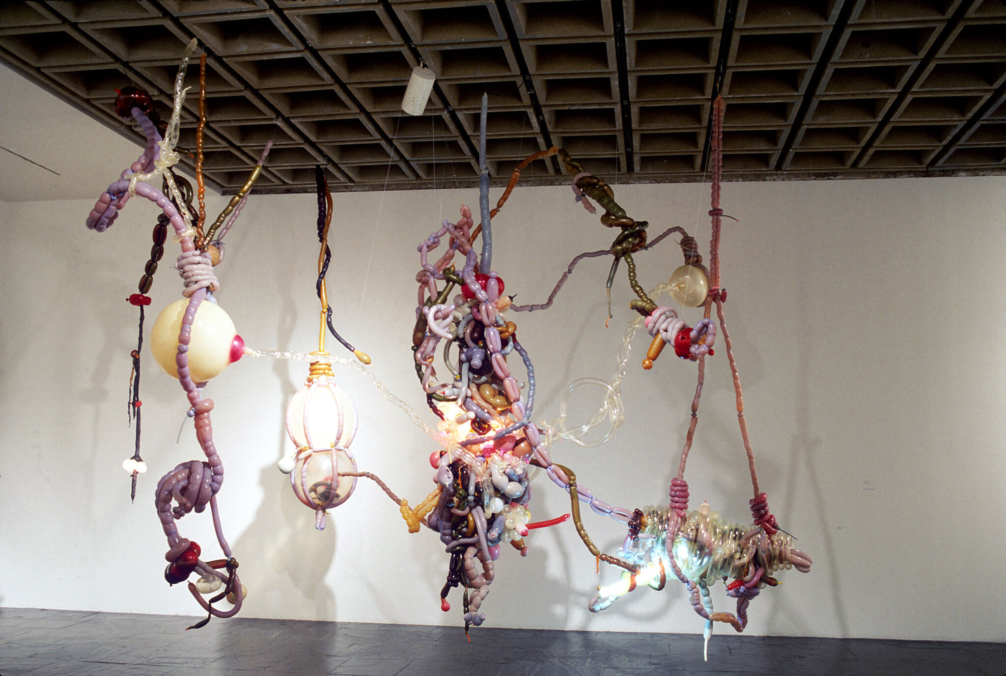 Work of art installed in a gallery.