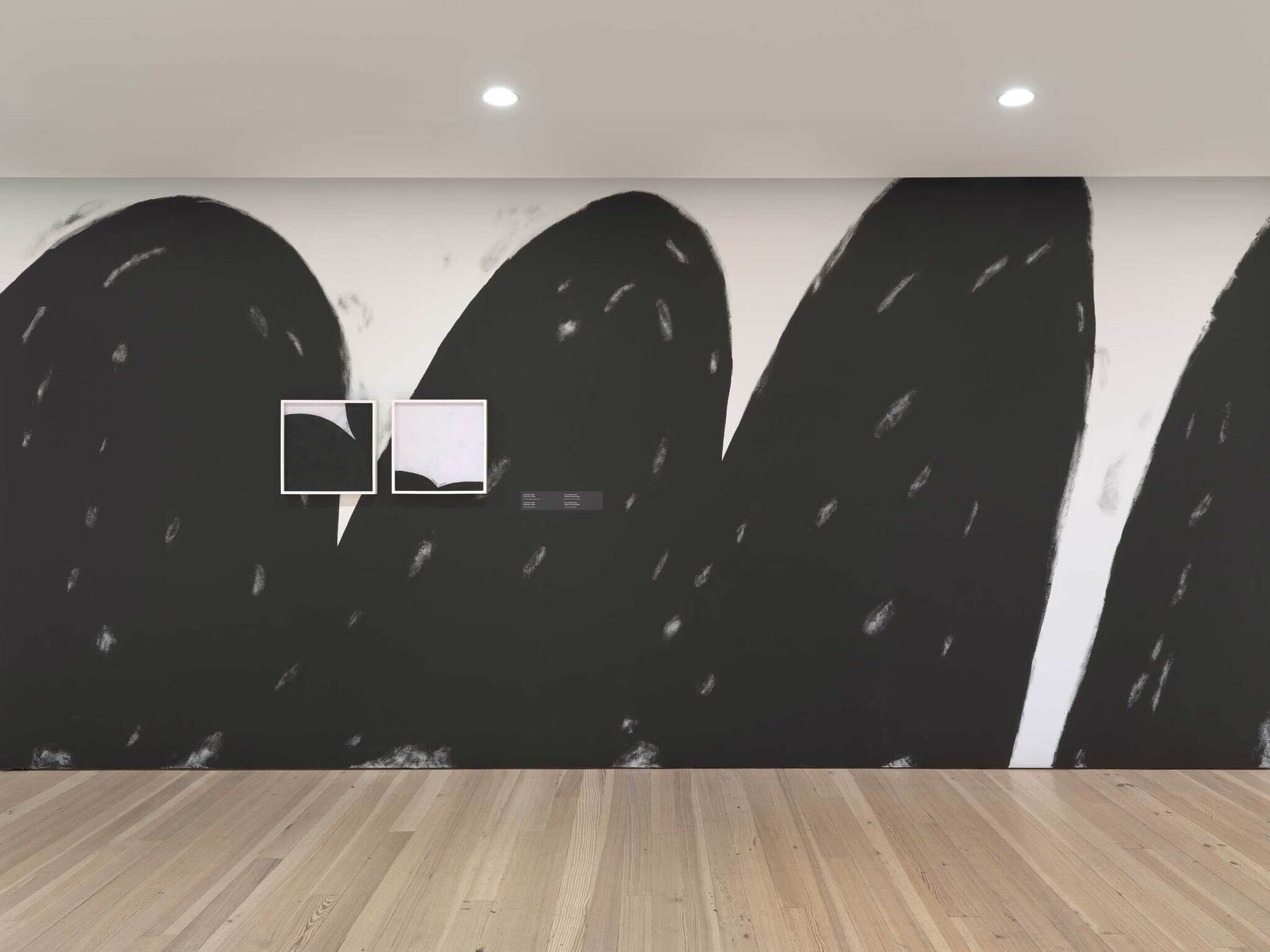 Large black and white abstract mural with two framed artworks on a wooden floor.