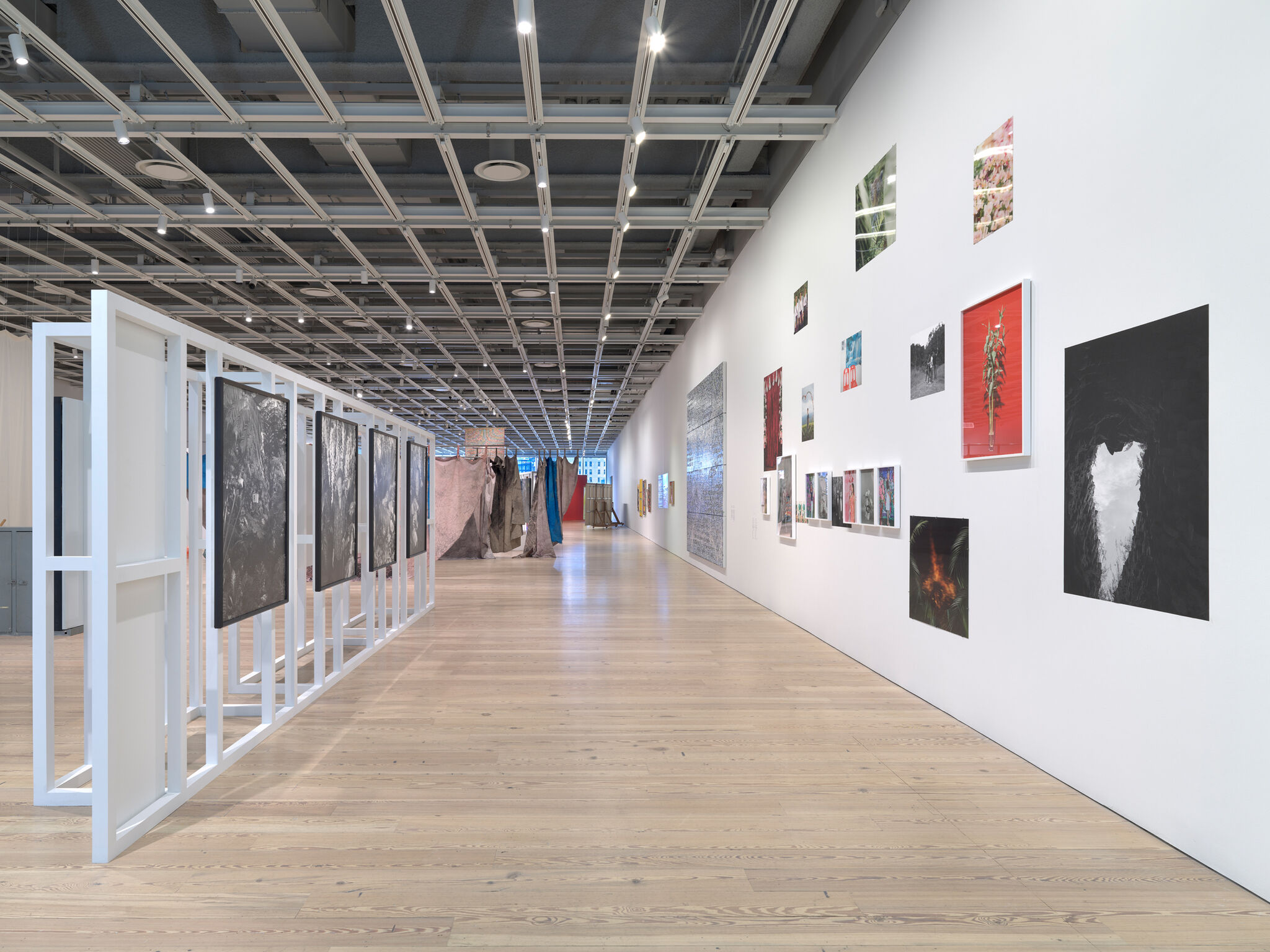 Multiple artworks in a light-filled gallery.